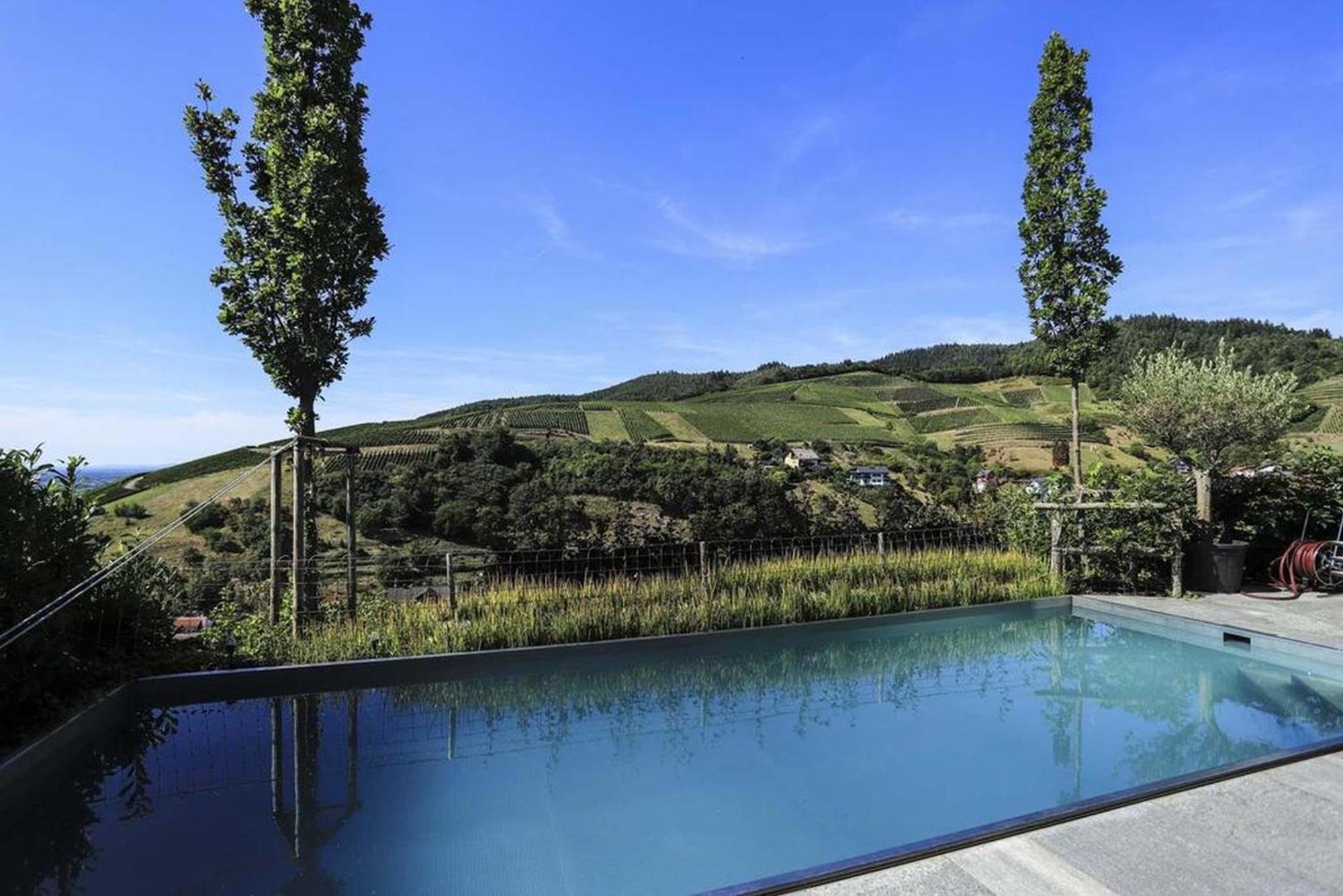Ferienhaus Mit Panoramablick Bühlertal エクステリア 写真